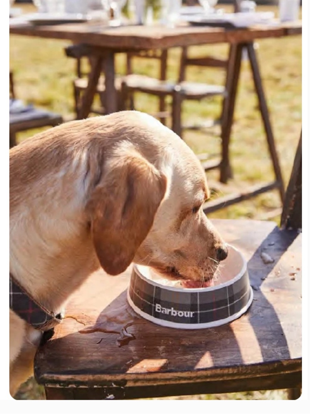 NWT Barbour Dog Bowl in Tartan